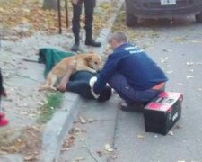 "Nikdy tě nikomu nedám": pes objal chlapa svými tlapkami a nehýbal se