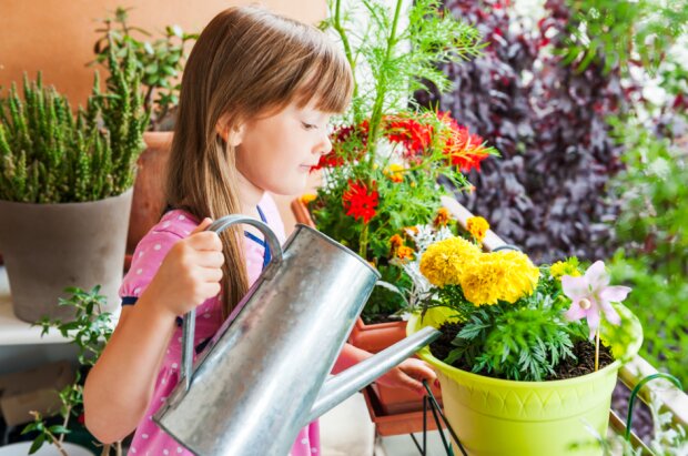 Fotografie: joinfo.com