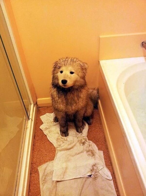 Zdroj fotografie: duck.show