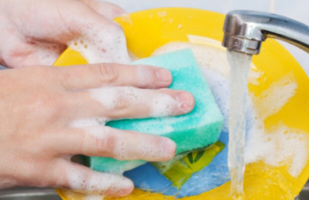 Houbičky. Foto: snímek obrazovky YouTube