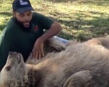 Po mnoha letech medvědice poznala muže, který se o ni v dětství staral