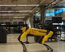 Robopes se naučil sbírat věci a sázet rostliny: jak vypadá kovový pes