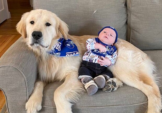 Pes a dítě. Foto: snímek obrazovky dailymail.co.uk