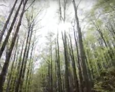 Předpověď počasí: Je známo, kdy přijdou do Česka první známky jara