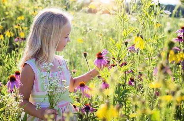 Holčička. Foto: snímek obrazovky udivitelno.fun
