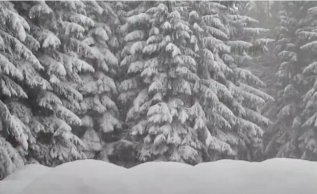 Česku hrozí další sněžení a silné mrazy: Předpověď na příští týden. Meteorologové řekli, jak bude