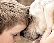 Věčné přátelství: "nechte psy žít málo, ale brána ráje je pro ně vždy otevřená»