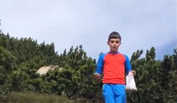 "Chtěli jsme si jen odpočinout": Jak při dovolené na horách přežil dvanáctiletý chlapec setkání s medvědem