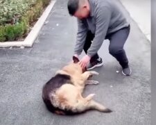 Muž a pes. Foto: snímek obrazovky YouTube