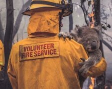 Neuvěřitelně dojemné fotografie o zachránění zvířat v Austrálii