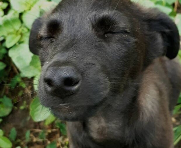 Fotografie: laykni.com