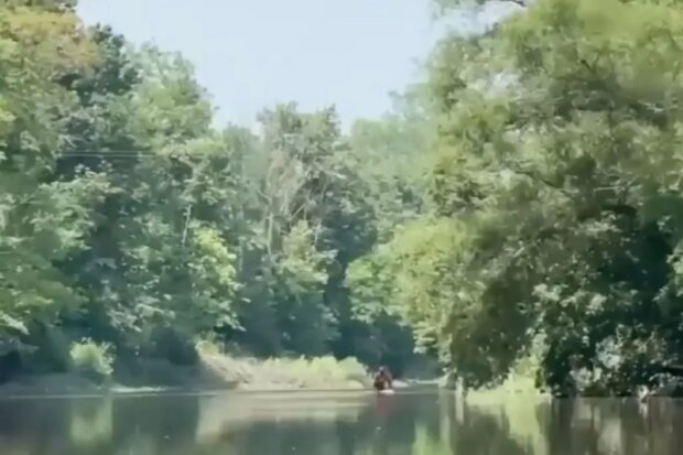 Yetti. Foto: snímek obrazovky Facebook