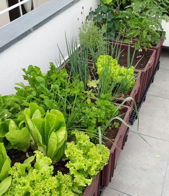 Zdroj fotografie: Positivno