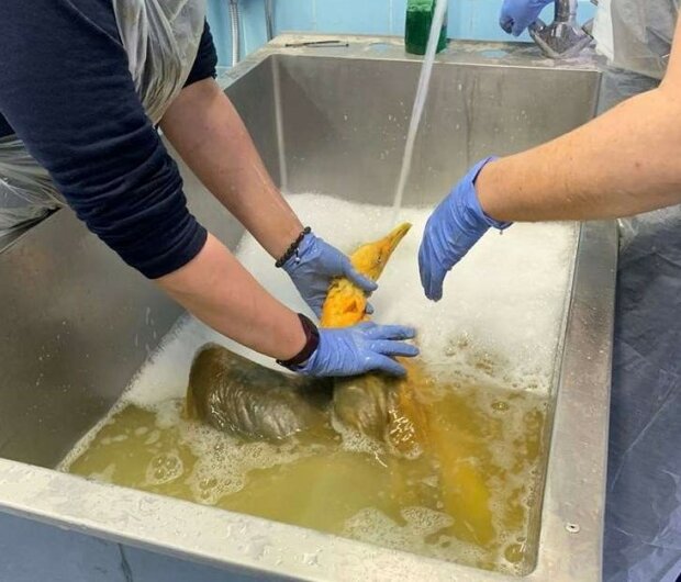 Fotografie: leprechaun.land