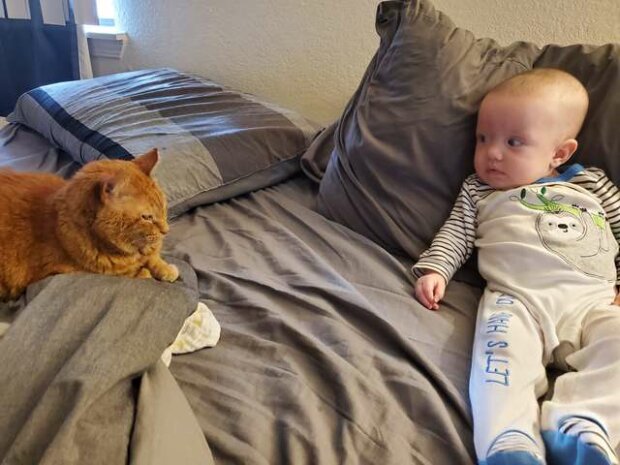 Páníčkové si byli jisti, že kočka nemá ráda jejich novorozenou dceru dokud nezjistili co dělá v noci