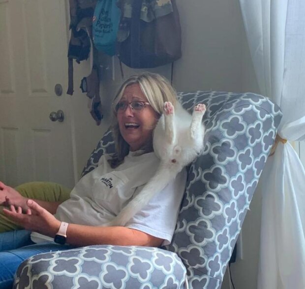 Fotografie: reddit.com