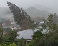 V Česku bylo oznámeno silné varování před větrem