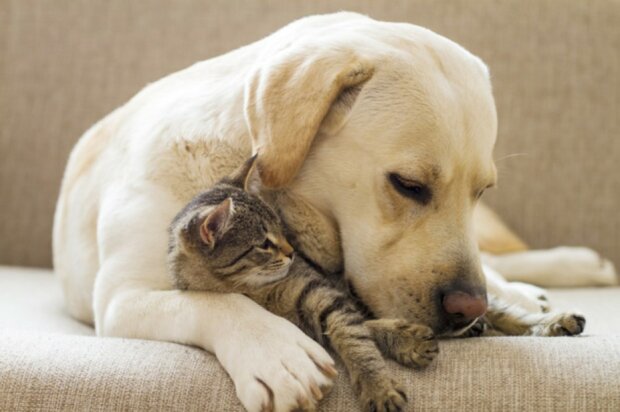 Fotografie: Getty Images/EyeEm