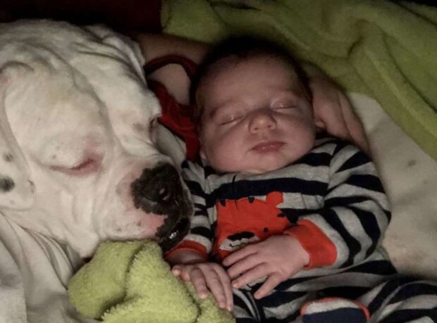 Fotografie: kennedynewsandmedia.co.uk