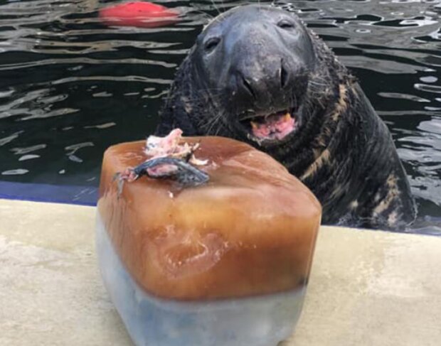 Fotografie: 4tololo.ru