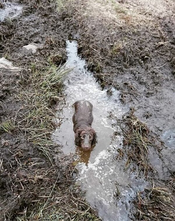 Zdroj fotografie: duck.show