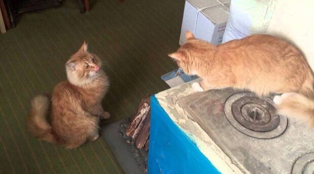 Fotografie: laykni.com