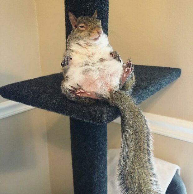 Zdroj fotografie: instagram.com