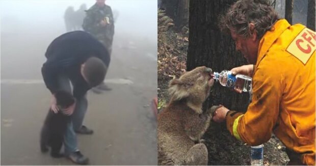 Medvídě se odmítlo rozloučit s člověkem, který ho odvážně zachránil před požárem. Dojemné video dokazuje obrovskou sílu zvířecí lásky