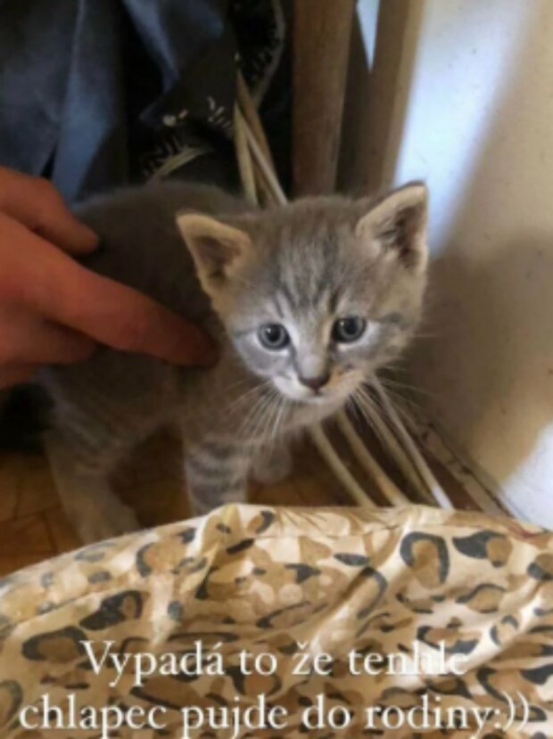 Foto: snímek obrazovky blesk.cz