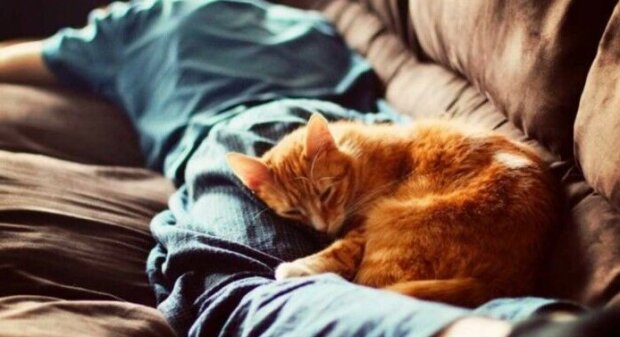 Fotografie: duck.show