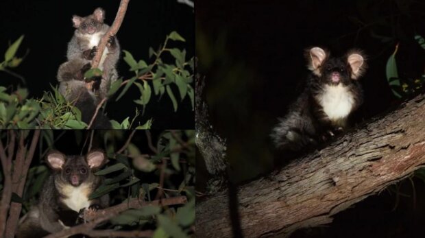 Fotografie: laykni.com