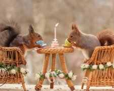 Fotografie: boredpanda.com