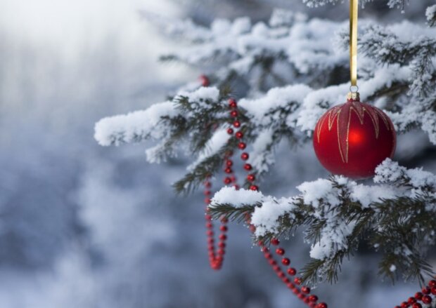 Silvestra. Foto: snímek obrazovky YouTube