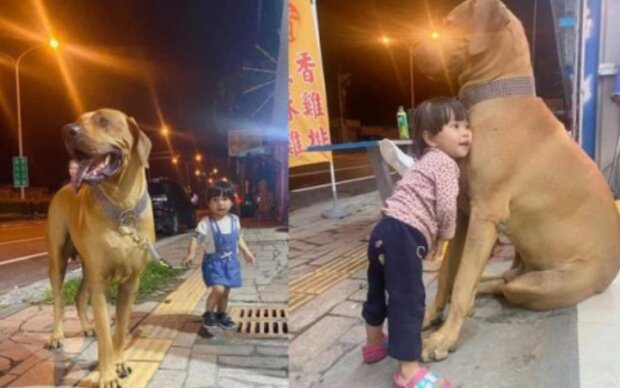 Holka a pes. Foto: snímek obrazovky laykni.com