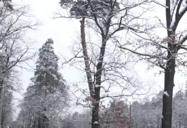 Sněžení. Foto: snímek obrazovky YouTube