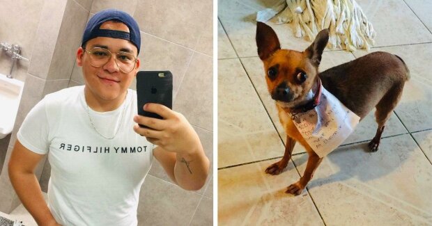 Mexičan dostal chuť na Cheetos během karantény a poslal svého psa do obchodu: tento kurýr si zaslouží pět hvězd