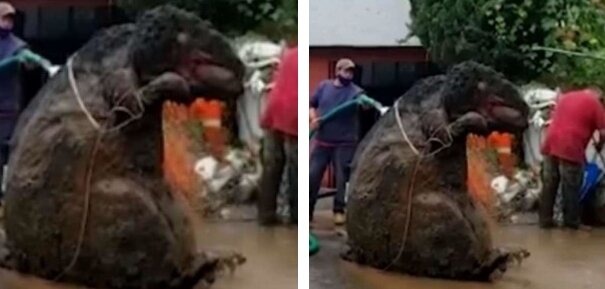 Fotografie: fishki.net