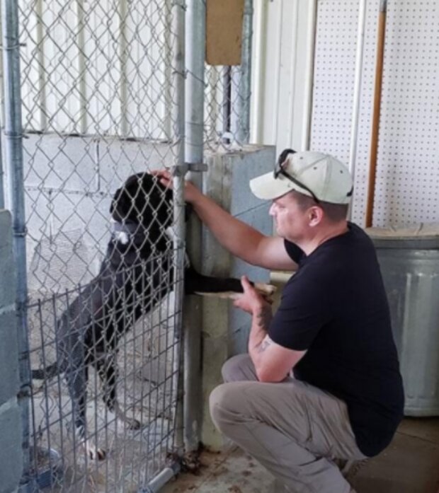 Pes a muž. Foto: snímek obrazovky laykni.com