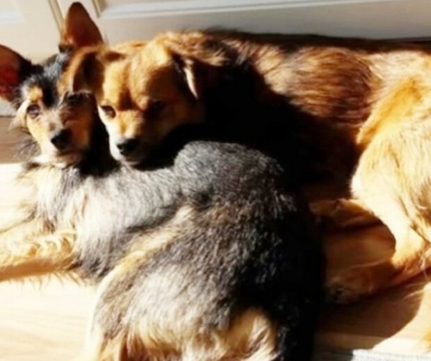 Zdroj fotografie: mur.tv