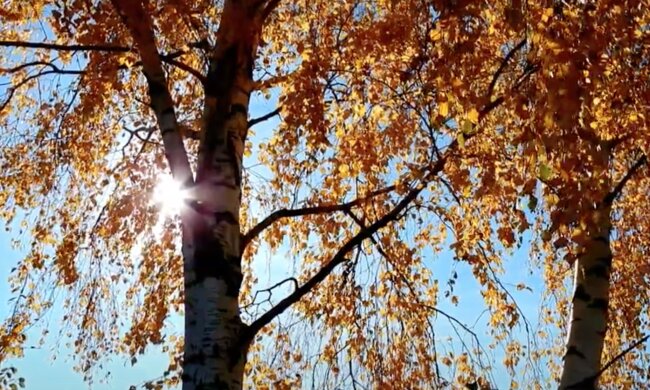 Předpověď na příští týden. Meteorologové řekli, jakých nejvyšších teplot se dočkáme: "Do Česka míří oteplení"