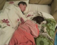 Majitelé po pořádku spí na gauči se starým psem, aby se necítil osamělý