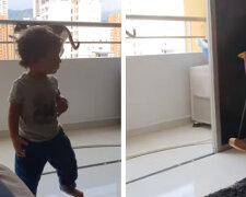 Pečující kočka nedovolí, aby dítě přelezlo přes zábradlí balkonu