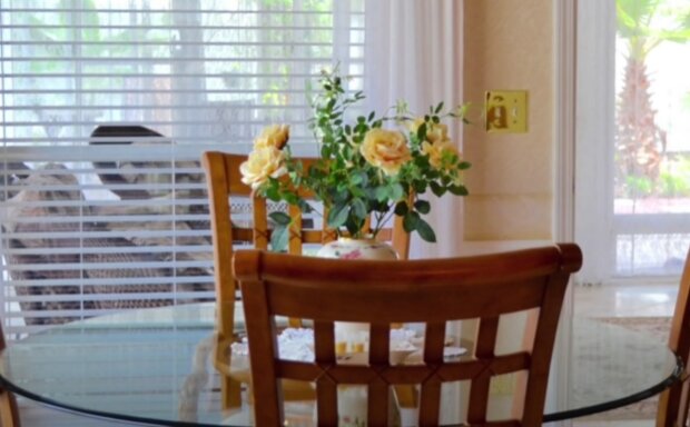 Příběh. Foto: snímek obrazovky YouTube