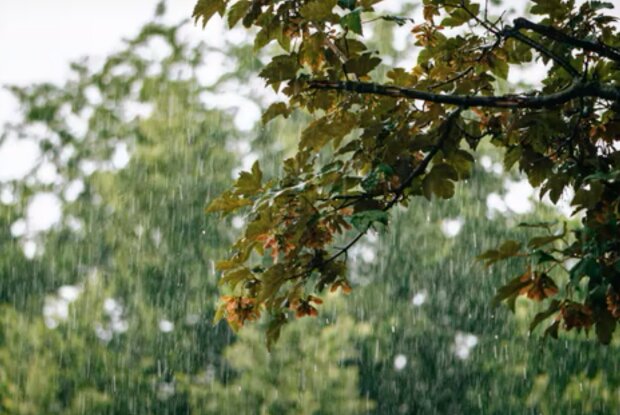 Hodně deštivý začátek nového týdne: Je známo, jaké nás čekají teploty