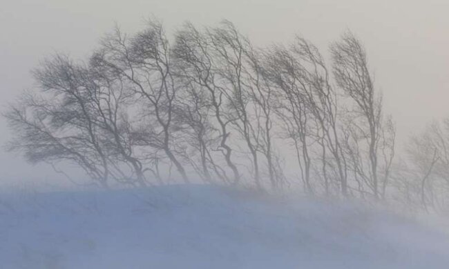 V Česku bude foukat silný vítr: Český hydrometeorologický ústav vydal upozornění. Je známo, kde platí