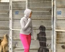 Žena si koupila celý útulek pro psy, protože si nemohla vybrat, kterého psa si vyzvedne pro sebe