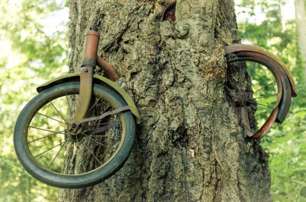 Mimořádný příběh: v roce 1914 kluk schoval kolo v lese a odešel do armády