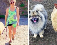 Ovečka z Velké Británie věří, že je psem. Ti, kdo se jí snaží přesvědčit, mohou být štěkání a kousání