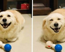 Fotografie: 4tololo.ru