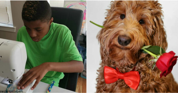 Školák šije kravaty pro psy, aby jim pomohl najít domov
